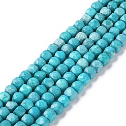 Howlite Natural Howlite Beads Strands, Dyed, Faceted Cube, 5x5x5mm, Hole: 0.8mm, about 78pcs/strand, 15.20~15.35 inch(38.6~39cm)