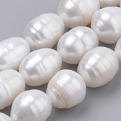 Seashell Color Natural Cultured Freshwater Pearl Beads Strands, Rice, Seashell Color, 10~14x9~10mm, Hole: 0.5mm, about 14pcs/strand, 6.69 inch(17cm)