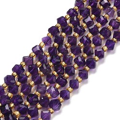 Amethyst Natural Amethyst Beads Strands, with Seed Beads, Faceted, Diagonal Cube Beads, Grade A, 5~6x5~6x4~5mm, Hole: 1mm, about 49~55pcs/strand, 15.35''~15.75''(39~40cm)