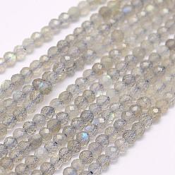 Labradorite Natural Labradorite Beads Strands, Faceted, Round, 3mm, Hole: 0.5mm, about 132pcs/strand, 15.7 inch(40cm)