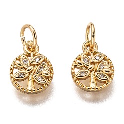 Golden Brass Micro Pave Clear Cubic Zirconia Charms, Cadmium Free & Lead Free, Long-Lasting Plated, Flat Round with Tree, Golden, 10x8x2mm, Hole: 3mm