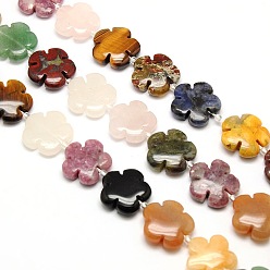 Mixed Stone Mixed Natural Gemstone Flower Beads Strands, 15x5.5mm, Hole: 1mm, about 27pcs/strand, 15.74 inch