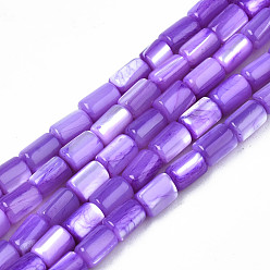Blue Violet Natural Trochid Shell/Trochus Shell Beads Strands, Dyed, Column, Blue Violet, 4~5x3~3.5mm, Hole: 0.9mm, about 77~78pcs/strand, 15.55 inch~15.75 inch(39.5~40cm)