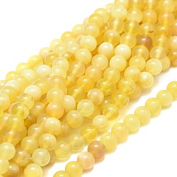 Yellow Opal Natural Yellow Opal Beads Strands, Round, Grade A, 6mm, Hole: 0.8mm, about 64pcs/strand, 15.35 inch(39cm)