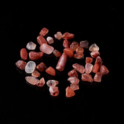 Красный Агат Природные сердолика бусы чип, нет отверстий / незавершенного, окрашенная и подогревом, 2~8x2~4 мм