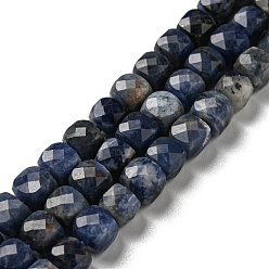 Sodalite Sodalites naturelles brins de perles, facette, cube, 4.5~5x5~5.5x5~5.5mm, Trou: 1.2mm, Environ 74~77 pcs/chapelet, 14.88~15.04 pouce (37.8~38.2 cm)
