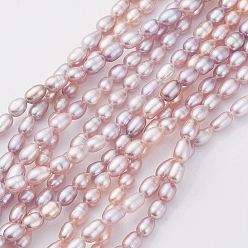 Misty Rose Natural Cultured Freshwater Pearl Beads Strands, Rice, Misty Rose, 5.5~7x3.5~4.5mm, Hole: 0.5mm, about 53~64pcs/strand, 14.3 inch(36.5cm)