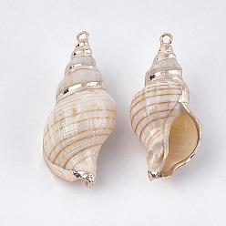Coquillage De Mer Galvanoplastie en spirale coquille pendentifs, avec les accessoires en fer, or, couleur de coquillage, 27~41x13~20x12~18mm, Trou: 1.5~1.8mm