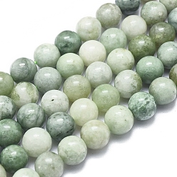 Myanmar Jade Natural Myanmar Jade/Burmese Jade Beads Strands, Round, 10mm, Hole: 1mm, about 40pcs/Strand, 15.75 inch(40cm)