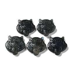 Tiger Natural Labradorite Engraved Cabochons, Tiger, 43~44x41~41.5x10~11mm