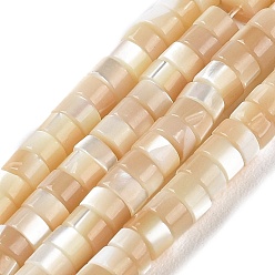 Blanc Navajo Brins de perles de coquillages naturels de troca, Plat rond / disque, perles heishi, facette, navajo blanc, 3.5~4x2~2.5mm, Trou: 0.8mm, Environ 171~173 pcs/chapelet, 16.14~16.38'' (41~41.6 cm)