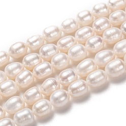 Bisque Natural Cultured Freshwater Pearl Beads Strands, Rice, Bisque, 10~11x8~9mm, Hole: 0.8mm, about 35pcs/strand, 13.78 inch(35cm)
