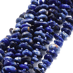 Sodalite Natural Sodalite Beads Strands, Nuggets, 8~11x9~14x1.5~5mm, Hole: 0.8mm, about 74pcs/strand, 15.55''(39.5cm)