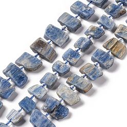 Kyanite Natural Kyanite Beads Strands, Nuggets, 7~10x9~21x5~6mm, Hole: 1.4mm, about 29~31pcs/strand, 15.94~16.93 inch(40.5~43cm)