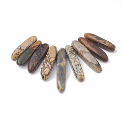Picasso Jasper Natural Picasso Stone/Picasso Jasper Beads Strands, Graduated Fan Pendants, Focal Beads, 19~50x7~8.5x6~8mm, Hole: 1.5mm, 9pcs/set, 2.75 inch/strand