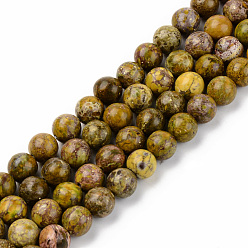 Kaki Clair Brins de perles turquoises américaines naturelles, teints et chauffée, ronde, kaki clair, 8mm, Trou: 1mm, Environ 45~46 pcs/chapelet, 15-1/8 pouce (38.5 cm)