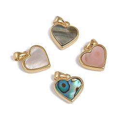 Mixed Shell Natural Shell Charms, with Golden Plated Brass Findings, Long-Lasting Plated, Heart, 12x12x3mm, Hole: 3x2.5mm