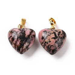 Rhodonite Natural Rhodonite Pendants, with Golden Tone Brass Findings, Heart Charm, 18x15~15.5x6~8mm, Hole: 6x3mm