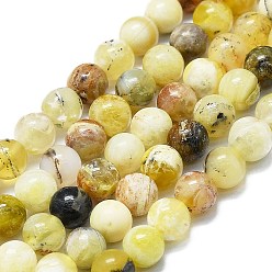 Opale Jaune Jaunes naturelles perles d'opale brins, ronde, 7~8mm, Trou: 0.8mm, Environ 48 pcs/chapelet, 15.35'' (39 cm)