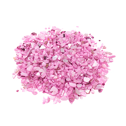 Бледно-Розовый Естественных пресноводных стеклянные бусы, осколки оболочки, окрашенные, без отверстия , чип, розовый жемчуг, 1~10x1~4x0.5~2 мм