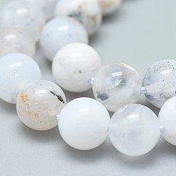Chalcedony Natural Australia Marine Chalcedony Beads Strands, Grade A, Round, 8mm, Hole: 1mm, about 49pcs/strand, 15.75 inch(40cm)