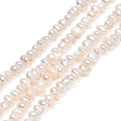 Seashell Color Natural Cultured Freshwater Pearl Beads, Potato, Seashell Color, 1.5~2.5mm, Hole: 0.5mm, about 226~229pcs/strand, 13.98inch~14.06 inch(35.5~35.7cm)