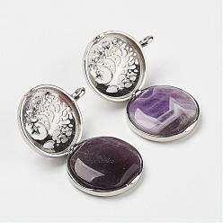 Amethyst Natural Amethyst Pendants, with Brass Diffuser Locket Findings, Flat Round with Tree, 31x25x8mm, Hole: 4mm