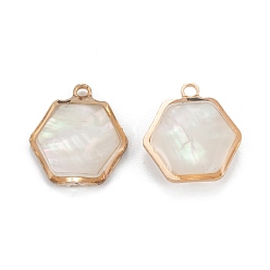 White Shell Natural White Shell Pendants, with Golden Brass Findings, Hexagon, 15x13.5x4mm, Hole: 1.5mm