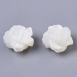 Coquillage De Mer Coquille de trochide naturelle / perles de coquille de troque, double-face, fleur, couleur de coquillage, 8x5mm, Trou: 0.8mm