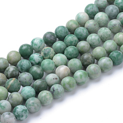 Jade Qinghai Qinghai naturelle perles de jade brins, ronde, 6~6.5mm, Trou: 1mm, Environ 63 pcs/chapelet, 15.5 pouce