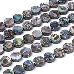 Coloré Brins de perles en coquille d'ormeau naturel / coquille de paua, plat rond, colorées, 10x3mm, Trou: 0.5mm, Environ 40 pcs/chapelet, 16 pouce