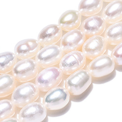 Color de la concha Hilos de perlas de agua dulce cultivadas naturales, arroz, color de concha, 6.8~7.5x5.5~6 mm, agujero: 0.7~0.8 mm, sobre 24~25 unidades / cadena, 7.09 pulgada (18 cm)