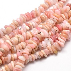 Morganite Natural Morganite Chip Beads Strands, 5~14x4~10mm, Hole: 1mm, about 15.5 inch~16.1 inch