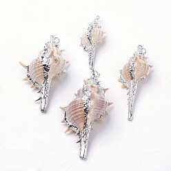 Spiral Shell Electroplate Spiral Shell Pendants, with Iron Findings, Conch, Platinum, 32~72x14~35x12~21mm, Hole: 2mm
