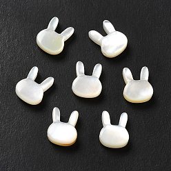 Blanco Cuentas de concha natural de blanco, conejo, blanco, 9x7x3 mm, agujero: 0.9 mm