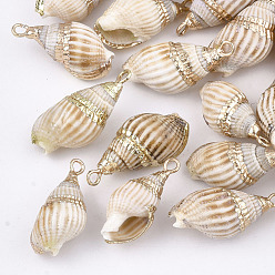 Linen Electroplate Spiral Shell Pendants, with Iron Findings, Light Gold, Peru, 16~30x8~14x7~12mm, Hole: 2mm