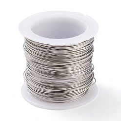Stainless Steel Color 316 Surgical Stainless Steel Wire, for Jewelry Making, Stainless Steel Color, 21 Gauge, 0.7mm, about 42.65 Feet(13m)/roll