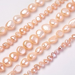 PeachPuff Natural Cultured Freshwater Pearl Beads Strands, Two Sides Polished, PeachPuff, 4~15x4~15mm, Hole: 0.5~1mm, about 24~95pcs/strand, 14.3 inch~14.9 inch(36.5~38cm)