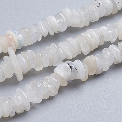 Rainbow Moonstone Natural Rainbow Moonstone Strands, Chip, 11~17x9~11x2~4mm, Hole: 0.9mm, about 124pcs/strand, 15.75 inch(40cm)