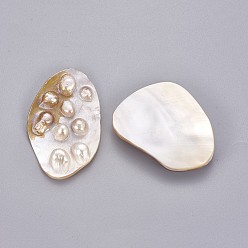 Autres Coquillages De Mer Perles de coquillages, pas de trous / non percés, nuggets, 49.5~90x35~70x6~11mm