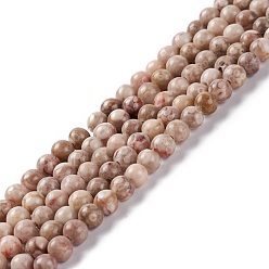 Chardon Brins de perles en pierre naturelle maifanite / maifan, teint, ronde, chardon, 4~4.5mm, Trou: 1mm, Environ 91~100 pcs/chapelet, 14.96~15.35 pouce (38~39 cm)