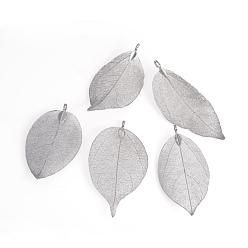 Black Plated Electroplated Natural Leaf Big Pendants, with Iron Findings, Black Plated, 55~85x25~40x1mm, Hole: 3x6mm