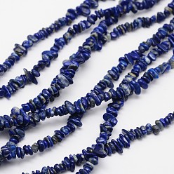 Lapislázuli Virutas naturales lapis lazuli perlas hebras, 3~8x3~12x3~5 mm, agujero: 1 mm, alrededor de 32 pulgada