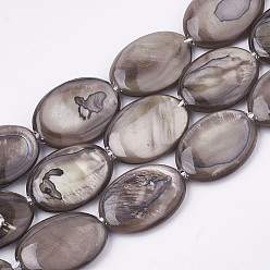 Rosy Brown Freshwater Shell Beads Strands, Dyed, Oval, Rosy Brown, 17.5~18x12~13x3mm, Hole: 1mm, about 23pcs/strand, 16.3 inch