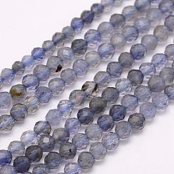 Iolite Natural Cordierite/Iolite/Dichroite Beads Strands, Grade A, Faceted, Round, 3mm, Hole: 0.5mm, about 132pcs/strand, 15.7 inch(40cm)