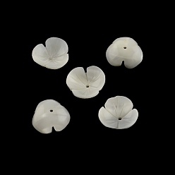 Beige Fleur de coquillage trochid naturel / perles de coquillage trochus, beige, 9~10x3mm, Trou: 1.5mm
