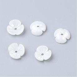 Freshwater Shell Natural Freshwater Shell Beads, Flower, 9~10x10x3mm, Hole: 1.5mm