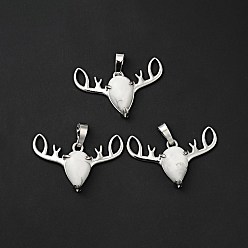 Howlite Natural Howlite Pendants, with Platinum Tone Brass Findings, Lead Free & Cadmium Free, Deer Head Charms, 23~24x34x7.5mm, Hole: 5x8mm