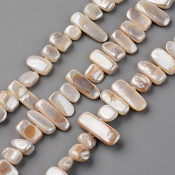 Linen Spray Painted Natural Freshwater Shell Beads Strands, Shell Shards, Chip, Linen, 5~9x8~26x3~6mm, Hole: 0.8mm, about 41~45pcs/strand, 13.78 inch~14.96 inch(35~38cm)