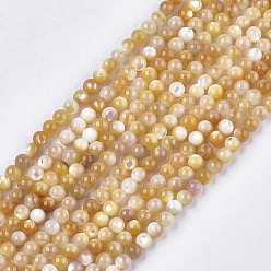 Gold Yellow Shell Beads Strands, Round, Gold, 4mm, Hole: 0.7mm, about 94pcs/strand, 15.3 inch
